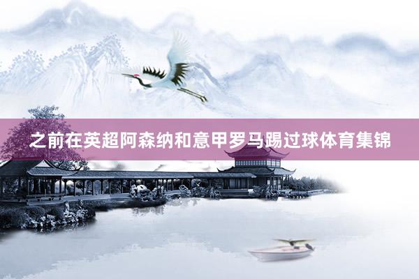 之前在英超阿森纳和意甲罗马踢过球体育集锦