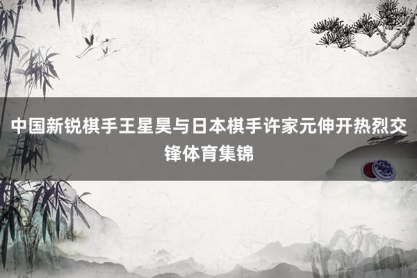 中国新锐棋手王星昊与日本棋手许家元伸开热烈交锋体育集锦
