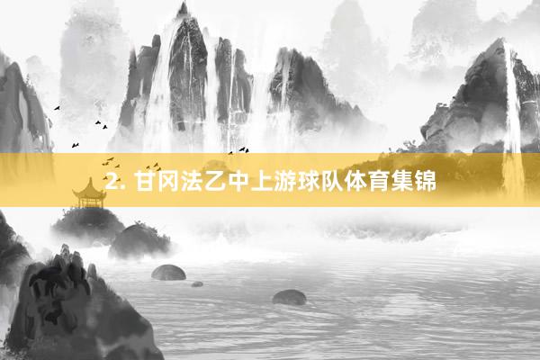2. 甘冈法乙中上游球队体育集锦