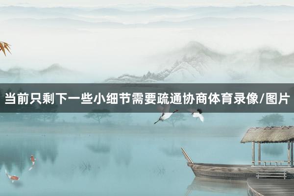 当前只剩下一些小细节需要疏通协商体育录像/图片