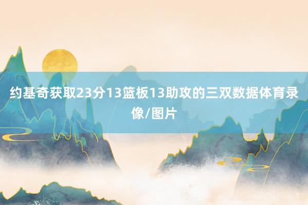 约基奇获取23分13篮板13助攻的三双数据体育录像/图片