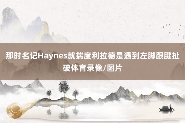 那时名记Haynes就揣度利拉德是遇到左脚跟腱扯破体育录像/图片