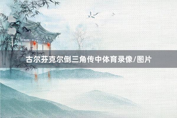 古尔芬克尔倒三角传中体育录像/图片