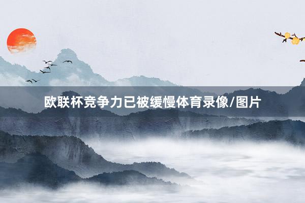 欧联杯竞争力已被缓慢体育录像/图片