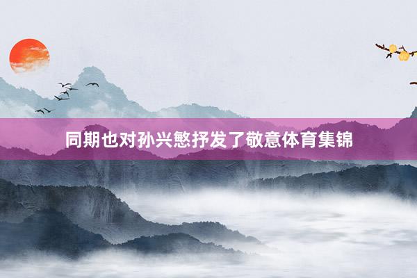 同期也对孙兴慜抒发了敬意体育集锦