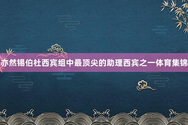 亦然锡伯杜西宾组中最顶尖的助理西宾之一体育集锦