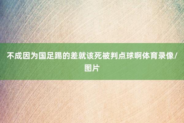 不成因为国足踢的差就该死被判点球啊体育录像/图片