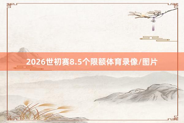 2026世初赛8.5个限额体育录像/图片