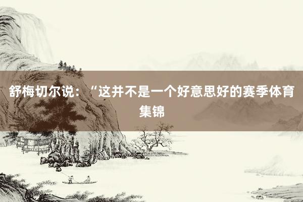 舒梅切尔说：“这并不是一个好意思好的赛季体育集锦