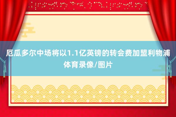 厄瓜多尔中场将以1.1亿英镑的转会费加盟利物浦体育录像/图片