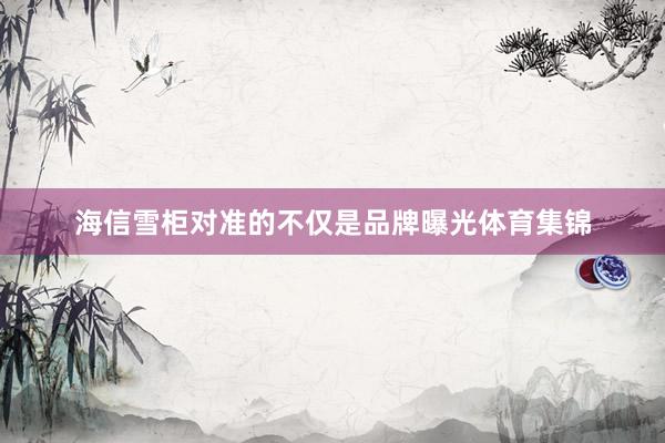 海信雪柜对准的不仅是品牌曝光体育集锦