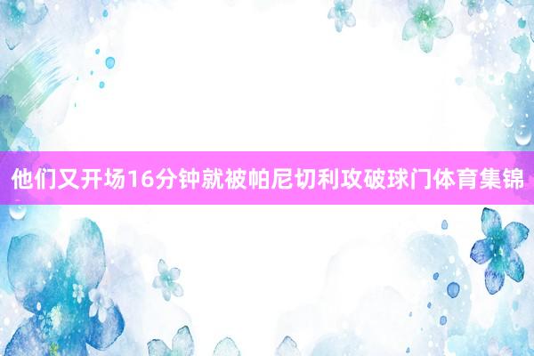 他们又开场16分钟就被帕尼切利攻破球门体育集锦