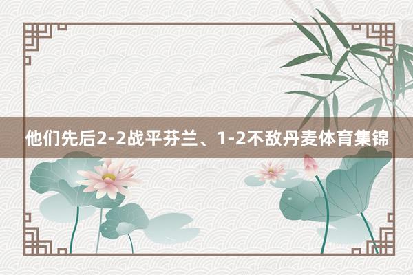 他们先后2-2战平芬兰、1-2不敌丹麦体育集锦