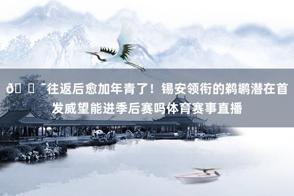 😯往返后愈加年青了！锡安领衔的鹈鹕潜在首发威望能进季后赛吗体育赛事直播