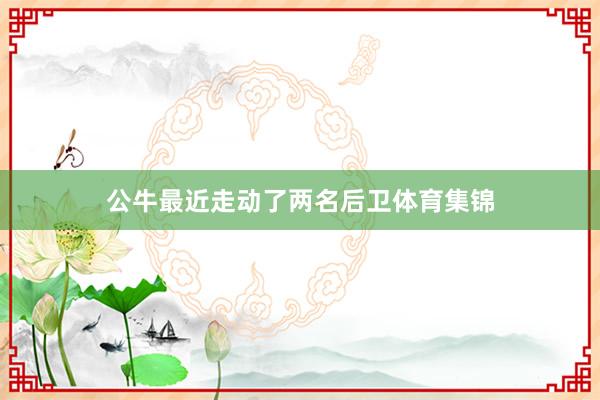 公牛最近走动了两名后卫体育集锦