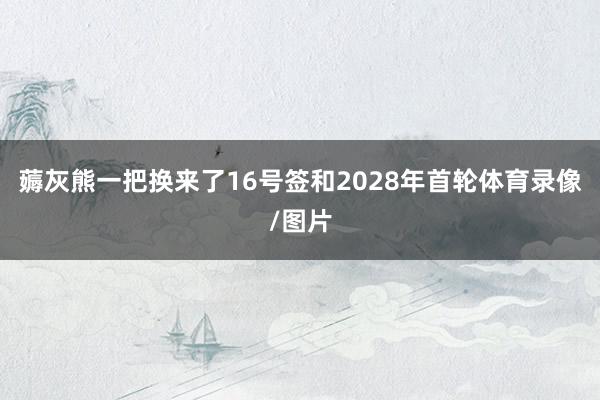 薅灰熊一把换来了16号签和2028年首轮体育录像/图片