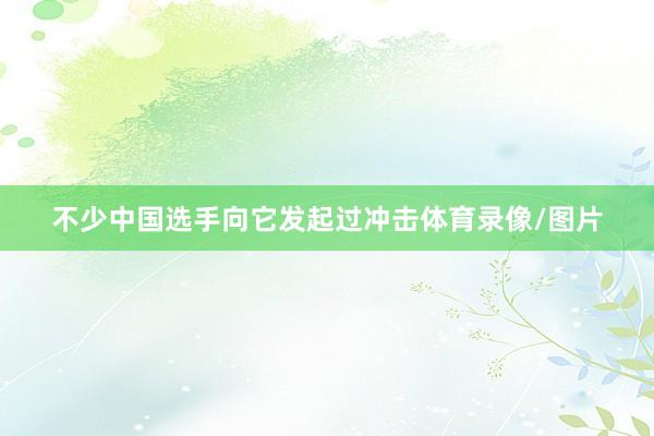 不少中国选手向它发起过冲击体育录像/图片