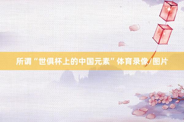 所谓“世俱杯上的中国元素”体育录像/图片