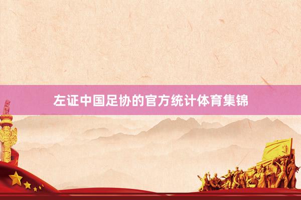左证中国足协的官方统计体育集锦