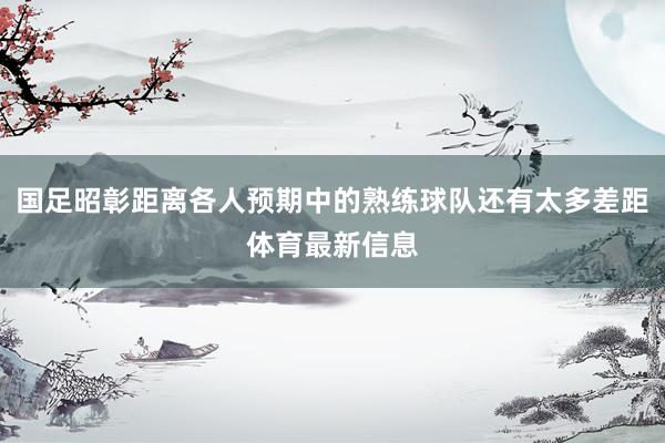 国足昭彰距离各人预期中的熟练球队还有太多差距体育最新信息