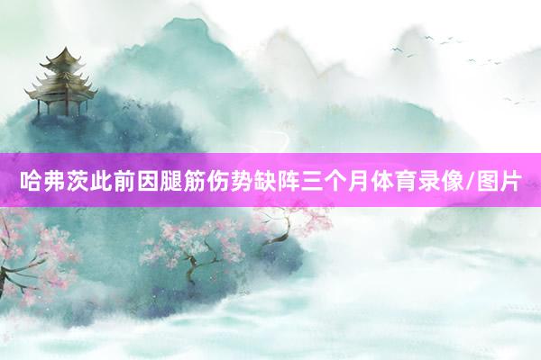 哈弗茨此前因腿筋伤势缺阵三个月体育录像/图片
