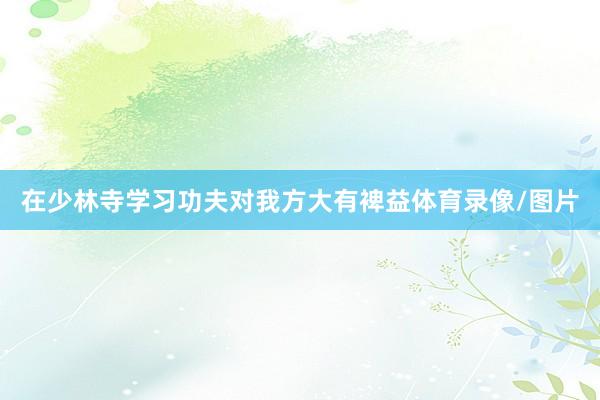 在少林寺学习功夫对我方大有裨益体育录像/图片