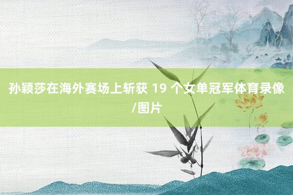 孙颖莎在海外赛场上斩获 19 个女单冠军体育录像/图片