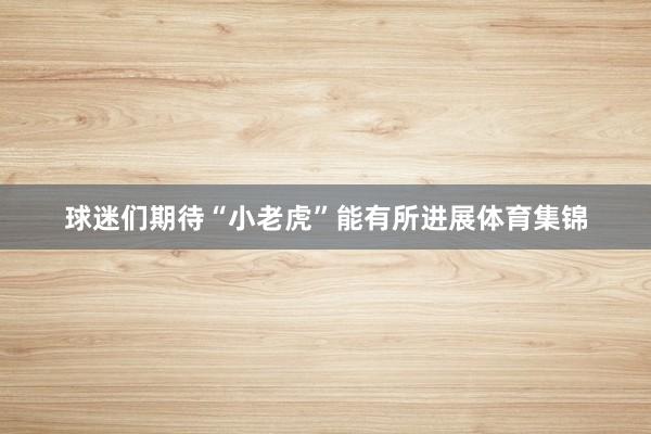 球迷们期待“小老虎”能有所进展体育集锦
