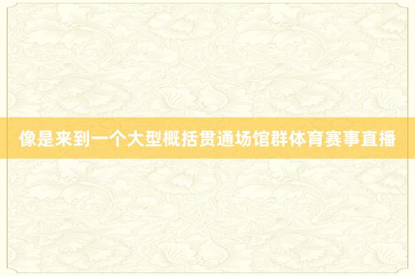 像是来到一个大型概括贯通场馆群体育赛事直播