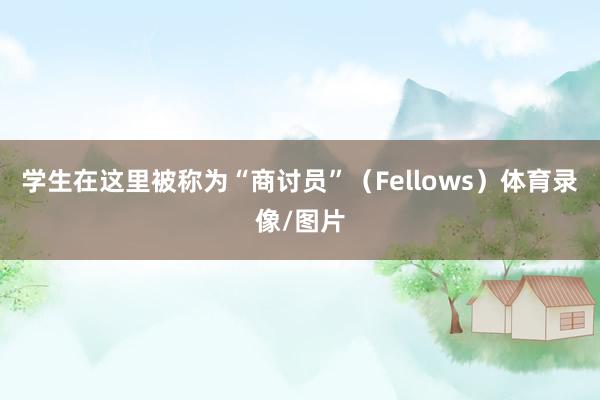学生在这里被称为“商讨员”（Fellows）体育录像/图片