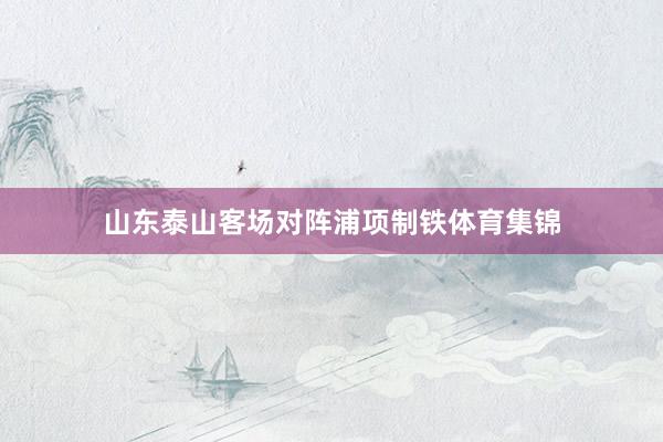 山东泰山客场对阵浦项制铁体育集锦