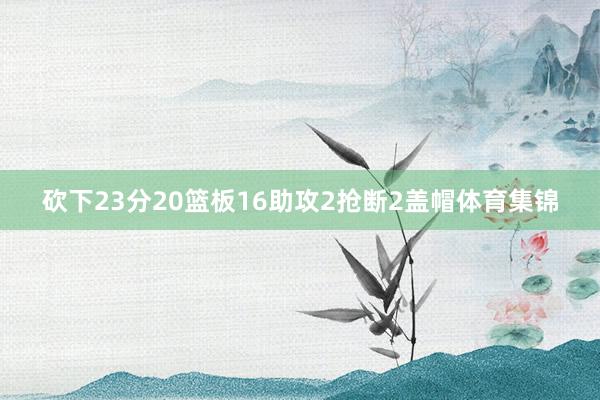 砍下23分20篮板16助攻2抢断2盖帽体育集锦