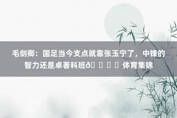 毛剑卿：国足当今支点就靠张玉宁了，中锋的智力还是卓著科班👍️体育集锦