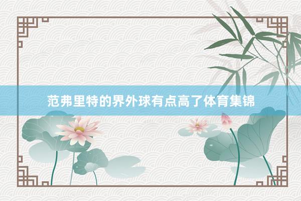 范弗里特的界外球有点高了体育集锦