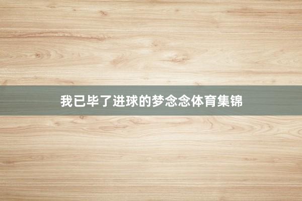 我已毕了进球的梦念念体育集锦