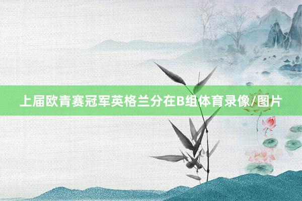 上届欧青赛冠军英格兰分在B组体育录像/图片
