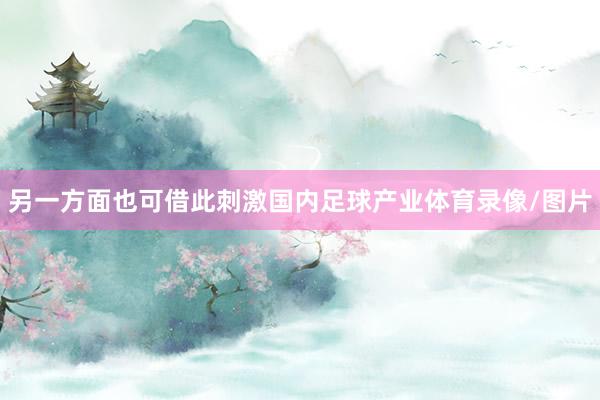 另一方面也可借此刺激国内足球产业体育录像/图片
