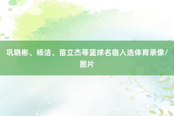 巩晓彬、杨洁、苗立杰等篮球名宿入选体育录像/图片