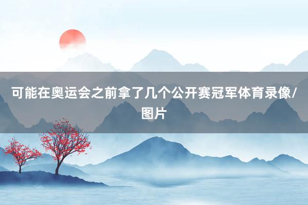 可能在奥运会之前拿了几个公开赛冠军体育录像/图片