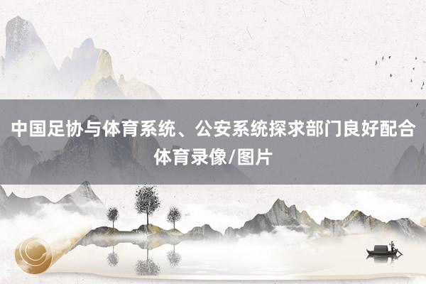 中国足协与体育系统、公安系统探求部门良好配合体育录像/图片