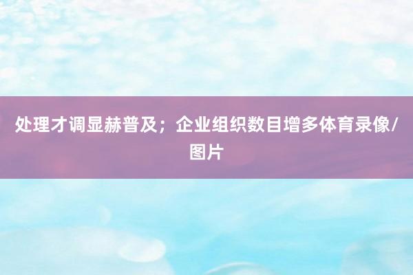 处理才调显赫普及；企业组织数目增多体育录像/图片