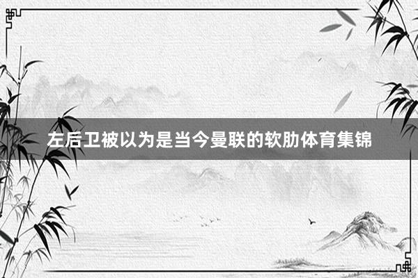 左后卫被以为是当今曼联的软肋体育集锦