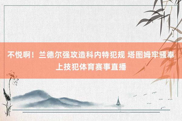 不悦啊！兰德尔强攻造科内特犯规 塔图姆牢骚奉上技犯体育赛事直播
