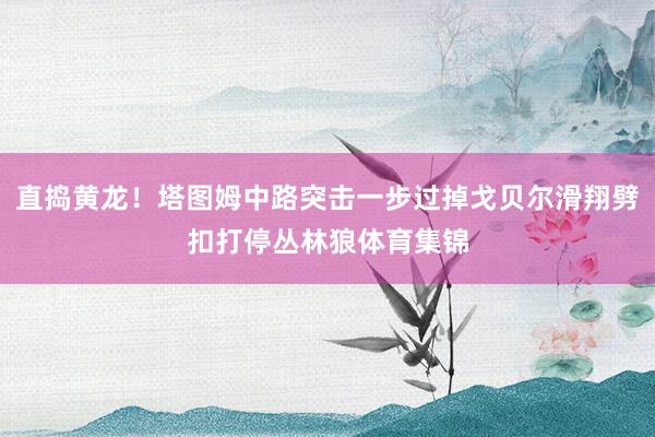 直捣黄龙！塔图姆中路突击一步过掉戈贝尔滑翔劈扣打停丛林狼体育集锦