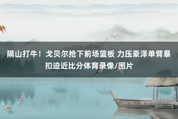 隔山打牛！戈贝尔抢下前场篮板 力压豪泽单臂暴扣迫近比分体育录像/图片