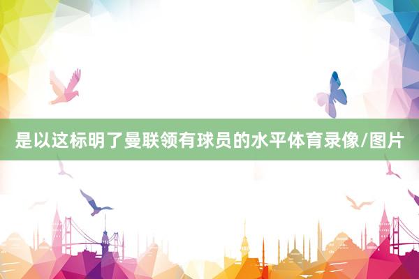 是以这标明了曼联领有球员的水平体育录像/图片
