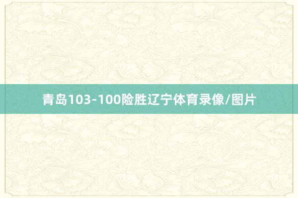 青岛103-100险胜辽宁体育录像/图片
