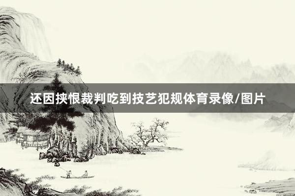 还因挟恨裁判吃到技艺犯规体育录像/图片
