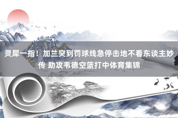 灵犀一指！加兰突到罚球线急停击地不看东谈主妙传 助攻韦德空篮打中体育集锦