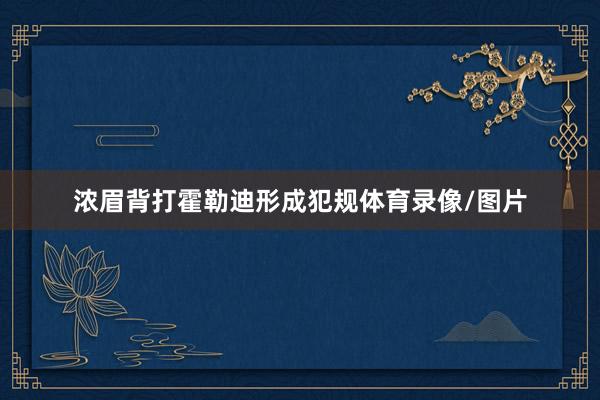 浓眉背打霍勒迪形成犯规体育录像/图片
